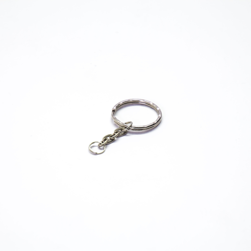 Economy Keyring 2