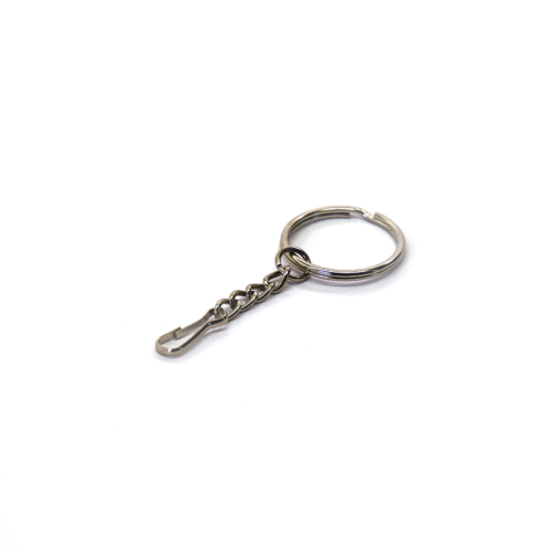 Economy Keyring