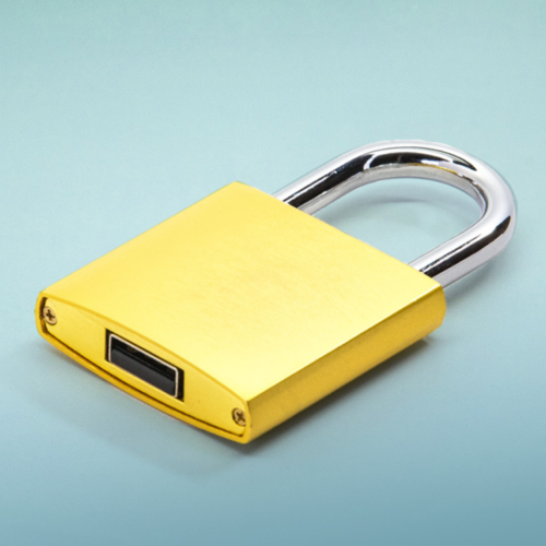 Every USB Digital Document Delivery Main Image