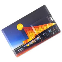 Custom USB Business Card Flash Drive | EveryUSB.com