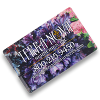 Check out the Business Card bulk flash drive